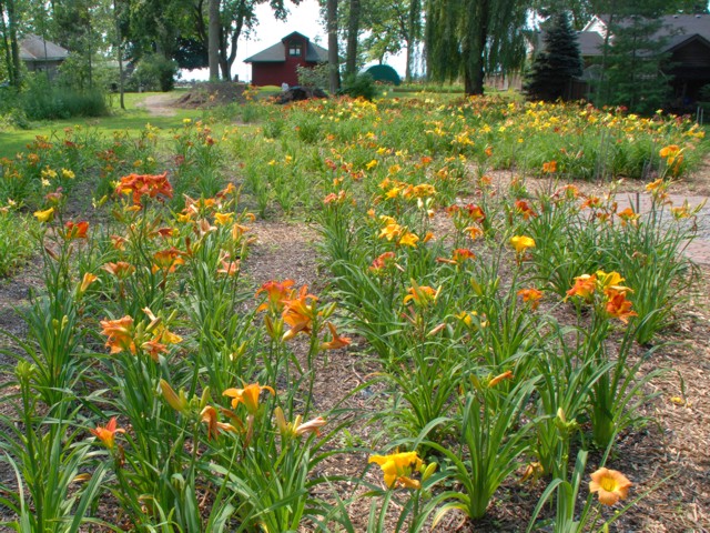 Gardens Photo 1