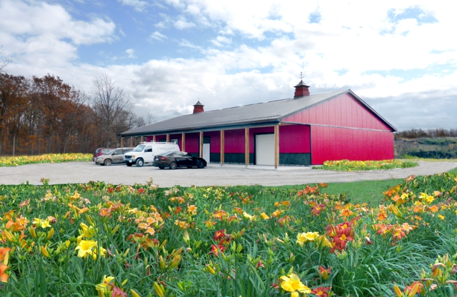 The Dynamic Daylily Barn